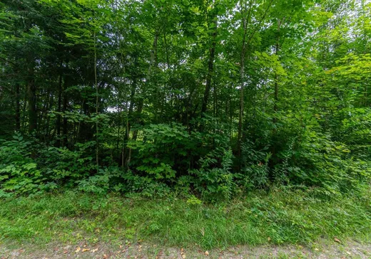 Land for Sale - 7 Imp. Ellora, Bolton-Est, J0E 1G0