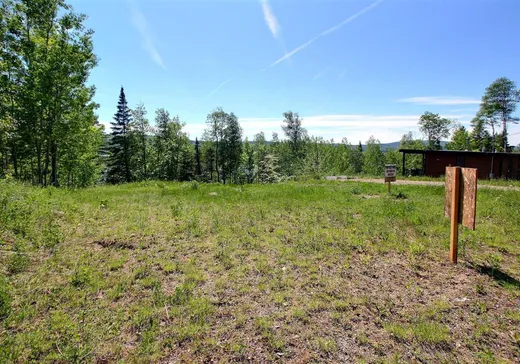 Land for Sale - 1619 Rue des Cerfs, Pohénégamook, G0L 1J0