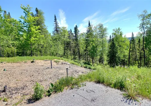 Land for Sale - 1619 Rue des Cerfs, Pohénégamook, G0L 1J0