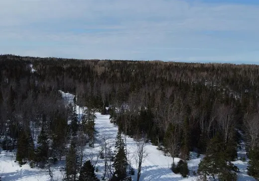 Land for Sale - 1 Route J.-B.-Pelletier et Rang 4 Cap-Chat, Sainte-Anne-des-Monts, G4V 1A1