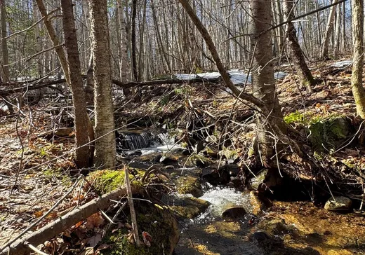 Terrain à vendre -  Rue Pascal, Ste-Émelie-de-l'Énergie, J0K 2K0