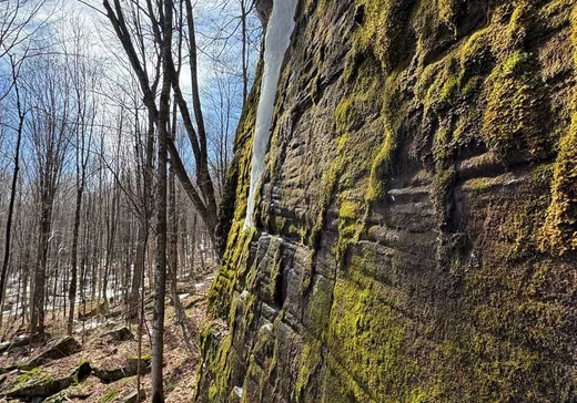 Terrain à vendre -  Rue Pascal, Ste-Émelie-de-l'Énergie, J0K 2K0
