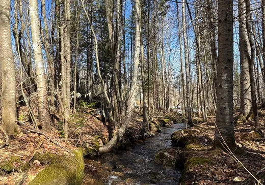 Terrain à vendre -  Rue Pascal, Ste-Émelie-de-l'Énergie, J0K 2K0