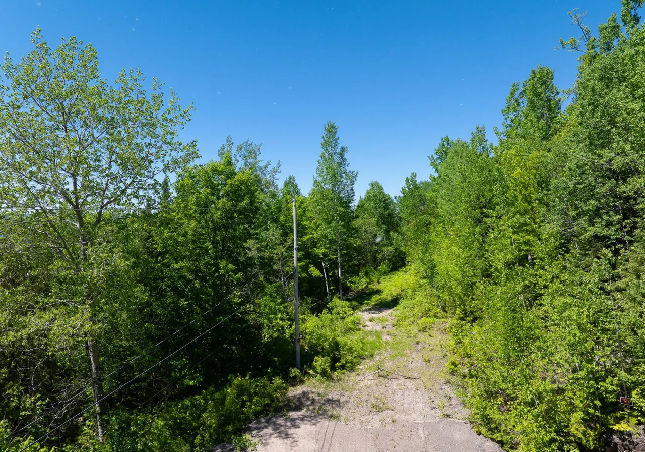 Mtée des Bouleaux — photo 2