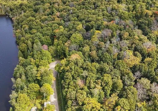 Terrain à vendre -  Ch. du Lac-Boeuf, St-Donat-De-Montcalm, J0T 2C0