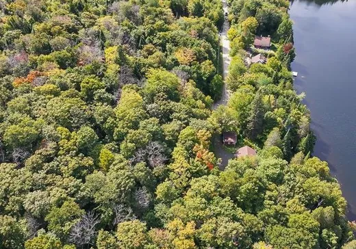 Terrain à vendre -  Ch. du Lac-Boeuf, St-Donat-De-Montcalm, J0T 2C0
