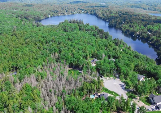 Terrain à vendre - 28 Rue du Saturnie, St-Hippolyte, J8A0M4