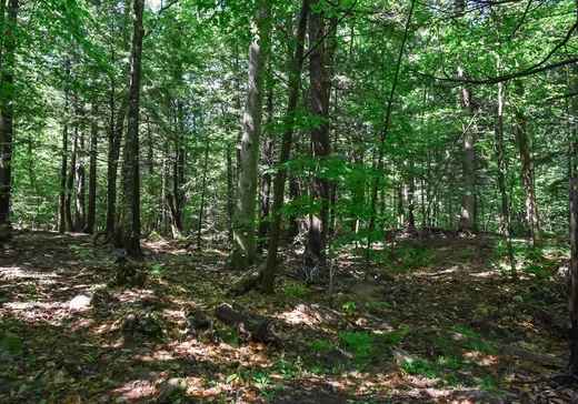 Terrain à vendre - 28 Rue du Saturnie, St-Hippolyte, J8A 0M4