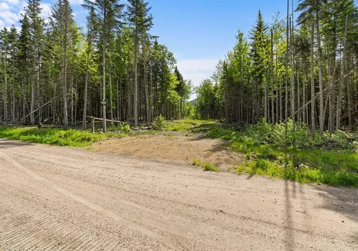 Land for Sale - 54 Rue du Cormoran, Sainte-Brigitte-de-Laval, G0A 3K0
