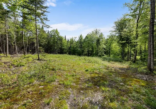Land for Sale - 54 Rue du Cormoran, Sainte-Brigitte-de-Laval, G0A 3K0