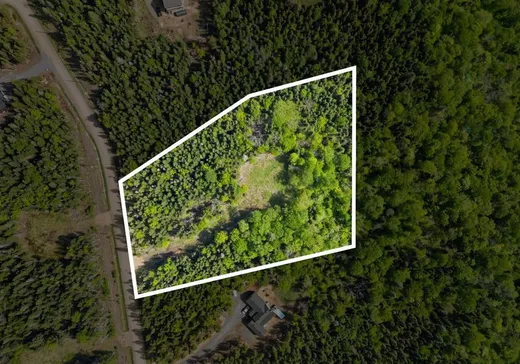 Land for Sale - 54 Rue du Cormoran, Sainte-Brigitte-de-Laval, G0A 3K0
