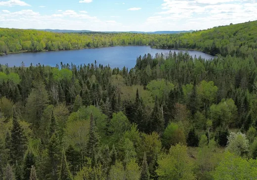 Land for Sale -  Mtée des Lacs-Noirs, Rivière-Rouge, J0T 1T0