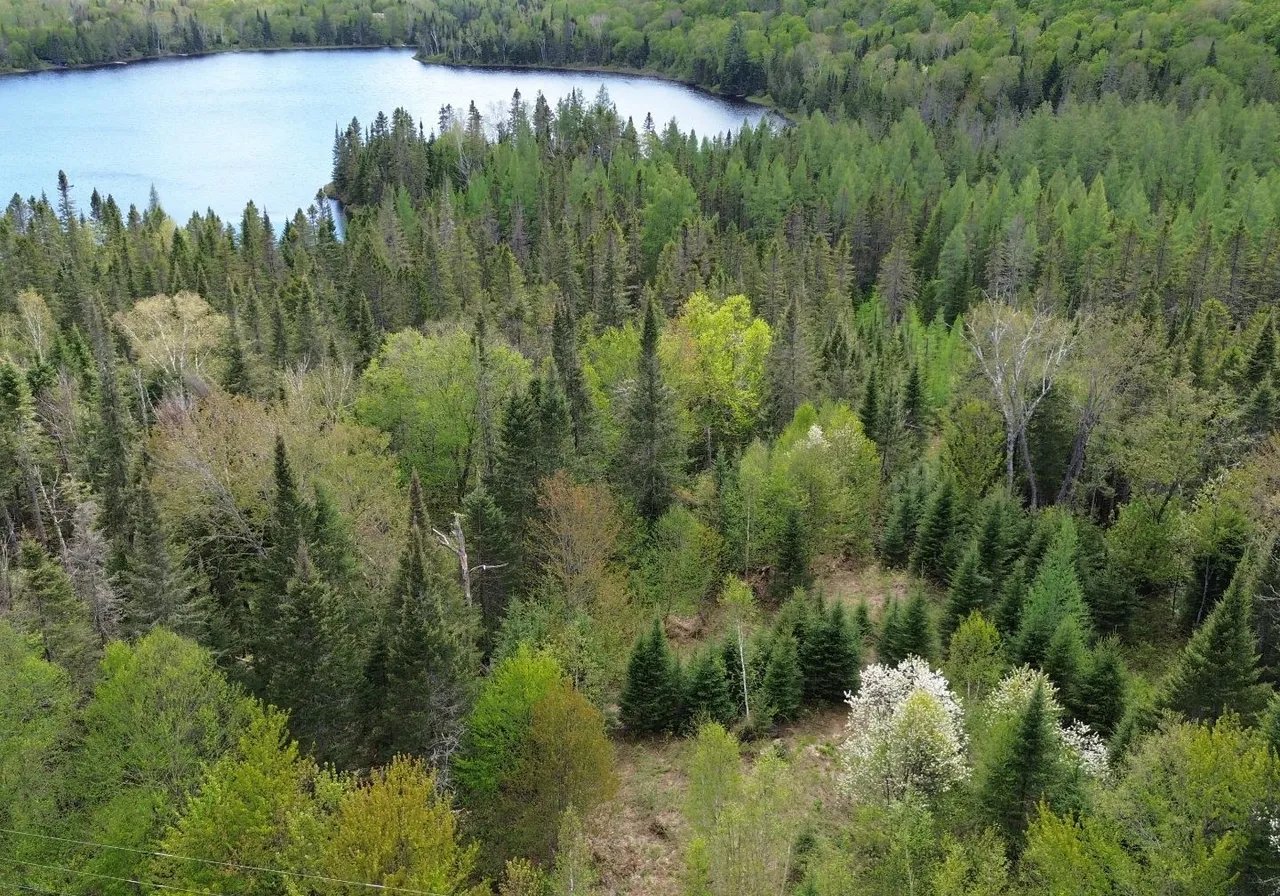 Mtée des Lacs-Noirs — photo 2