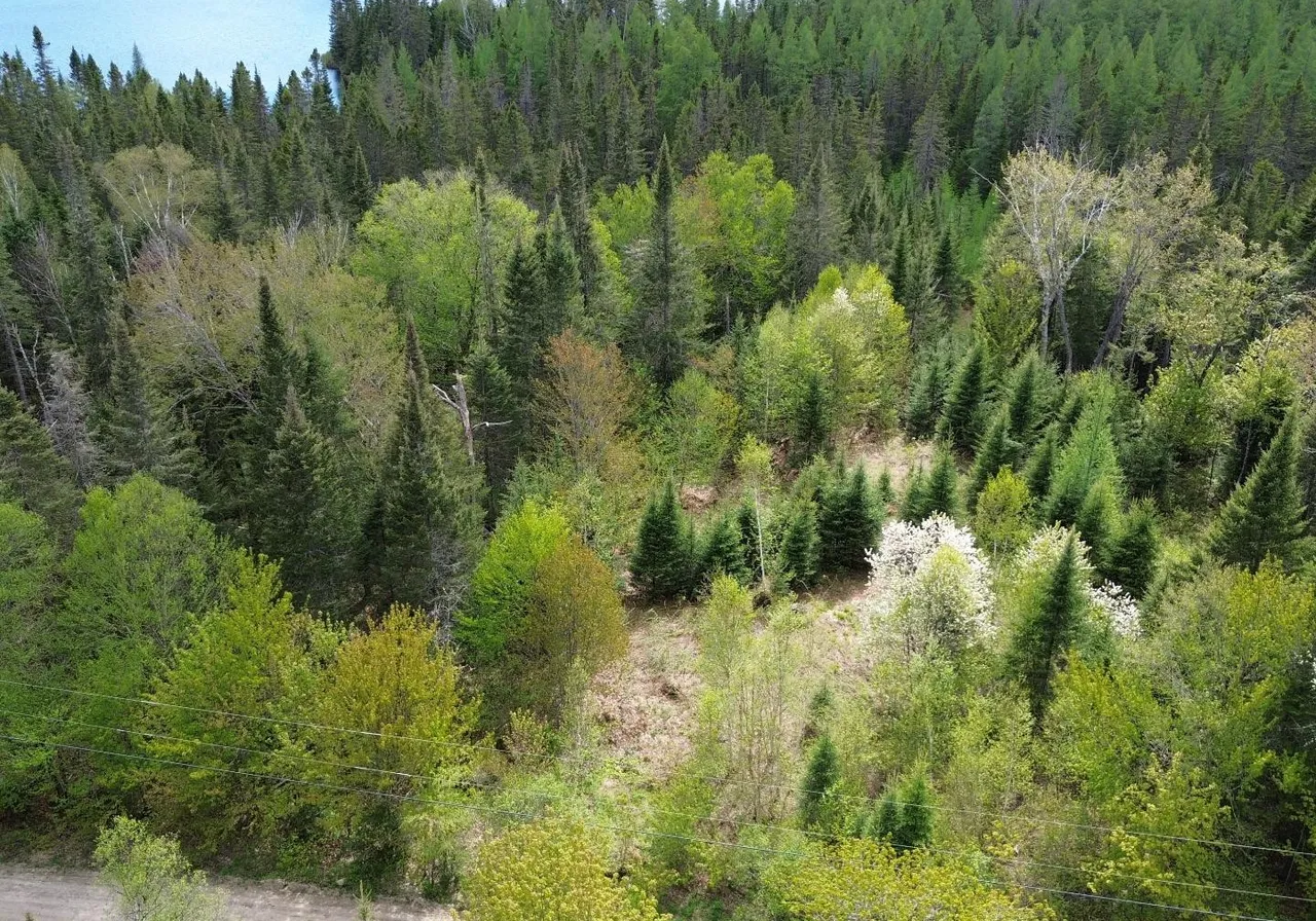 Mtée des Lacs-Noirs — photo 3