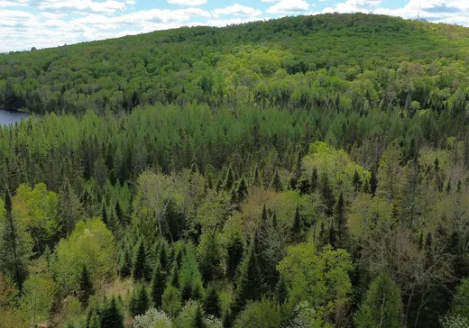 Land for Sale -  Mtée des Lacs-Noirs, Rivière-Rouge, J0T 1T0
