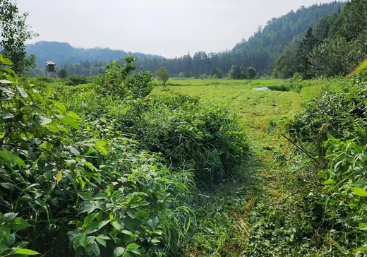 Terrain à vendre -  Rg Sud Ouest Riv Matane, Matane, G0J 3E0