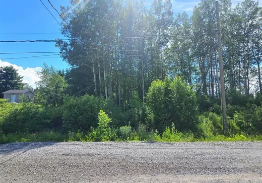 Land for sale - 21 Rue Jalbert, Saint-Modeste, G0L3W0