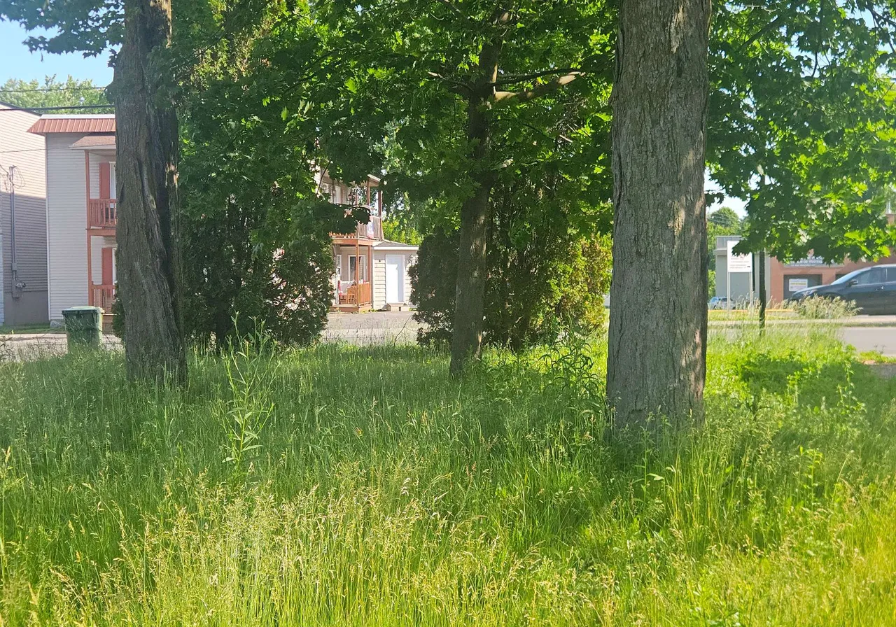 Rue Principale E. — photo 3