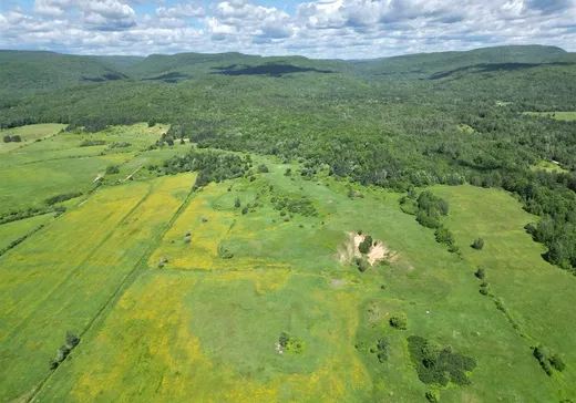 Land for sale - Z Ch. Beauparlant E., Saint-Damien, J0K2E0