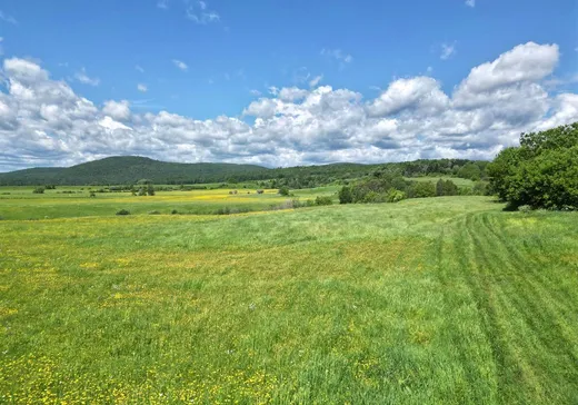 Land for Sale - Z Ch. Beauparlant E., Saint-Damien, J0K 2E0