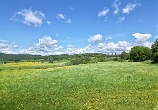 Land for Sale - Z Ch. Beauparlant E., Saint-Damien, J0K 2E0