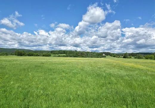 Land for Sale - X Ch. Beauparlant E., Saint-Damien, J0K 2E0