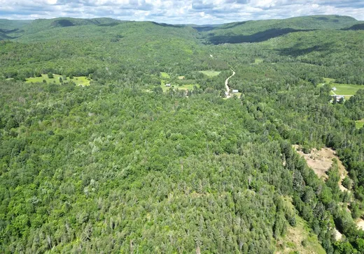 Land for Sale - X Ch. Beauparlant E., Saint-Damien, J0K 2E0