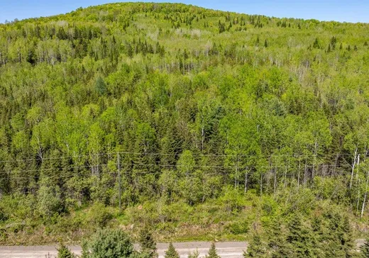 Land for Sale - 253 Rg Gravel, App. 2, Dégelis, G5T 1G2