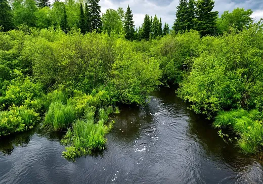 Land for Sale - 196 Rg Ste-Marie, St-Fabien-De-Panet, G0R 2J0