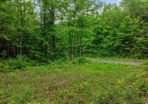 Land for Sale -  Ch. du Lac-Pauvre, Ste-Émelie-de-l'Énergie, J0K 2K0