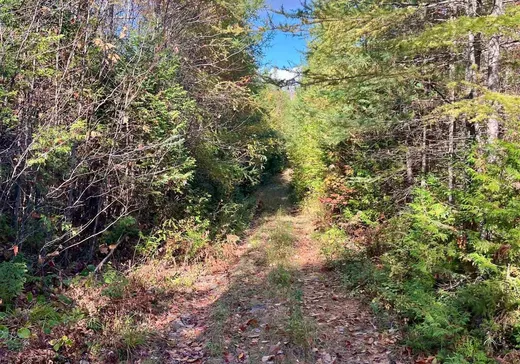 Land for Sale -  Rue Anaïs, Chertsey, J0K 3K0
