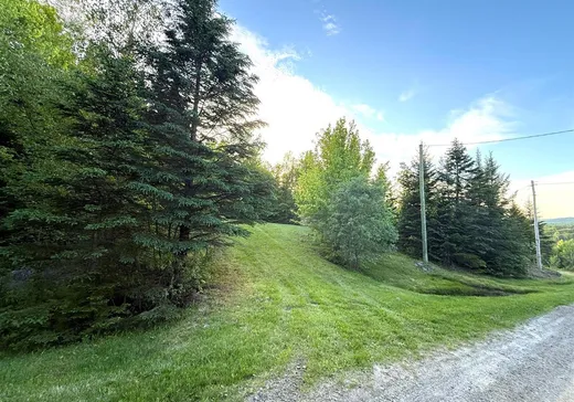 Terrain à vendre - 97 Ch. Gisèle, Notre-Dame-Des-Boies, J0B 2E0