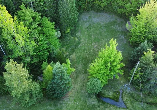 Terrain à vendre - 97 Ch. Gisèle, Notre-Dame-Des-Boies, J0B 2E0