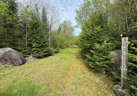 Terrain à vendre - 124 Ch. du Bûché, Notre-Dame-Des-Boies, J0B2E0