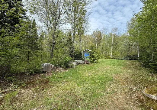 Terrain à vendre - 124 Ch. du Bûché, Notre-Dame-Des-Boies, J0B 2E0