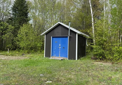Terrain à vendre - 124 Ch. du Bûché, Notre-Dame-Des-Boies, J0B 2E0