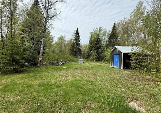 Terrain à vendre - 124 Ch. du Bûché, Notre-Dame-Des-Boies, J0B 2E0