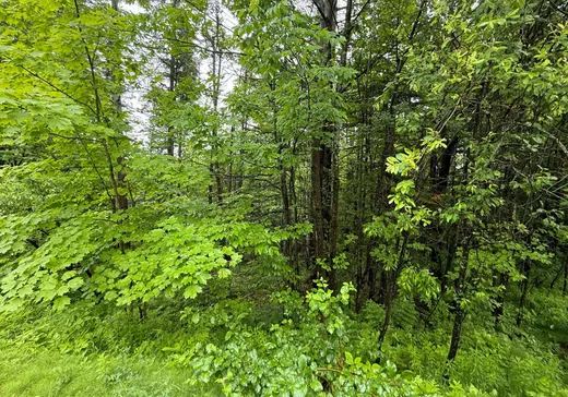 Terrain à vendre -  Rue du Zéphyr, Montréal (Nord), J1X 7H3