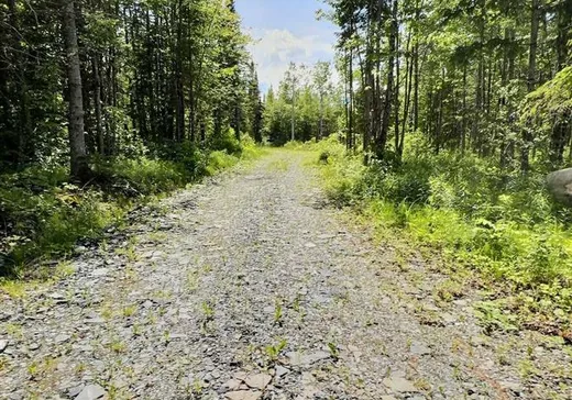 Land for Sale - 9875 Ch. Baillargeon, Lac-Mégantic, G0Y 1G0