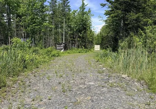 Land for Sale - 9875 Ch. Baillargeon, Lac-Mégantic, G0Y 1G0