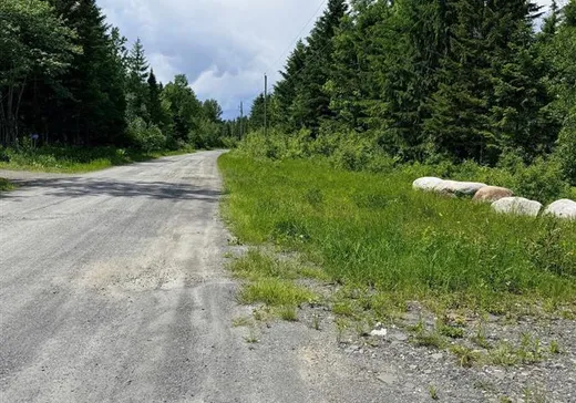 Land for Sale - 9875 Ch. Baillargeon, Lac-Mégantic, G0Y 1G0
