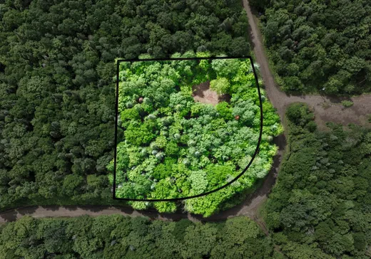 Land for sale -  Ch. des Pierres, Mandeville, J0K1L0
