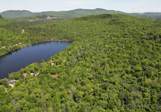 Land for Sale -  Ch. du Lac-Boeuf, St-Donat-De-Montcalm, J0T 2C0
