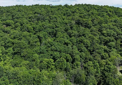 Land for Sale -  Ch. Jackson, Wentworth North, J0R 1Y0