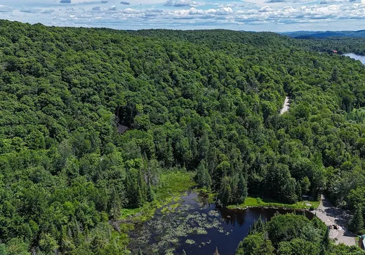 Land for Sale -  Ch. Jackson, Wentworth North, J0R 1Y0