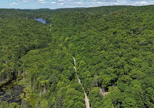 Land for Sale -  Ch. Jackson, Wentworth North, J0R 1Y0