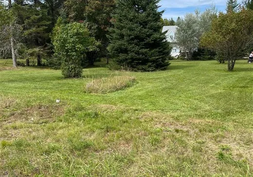 Land for Sale - 294 Mtée Kiamika, Rivière-Rouge, J0T 1T0