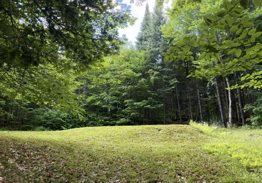 Land for Sale -  Ch. Rivest, Val-des-Lacs, J0T 2P0