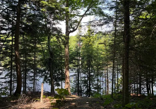 Terrain à vendre -  Ch. des Érables, Wentworth, J8H 0E9