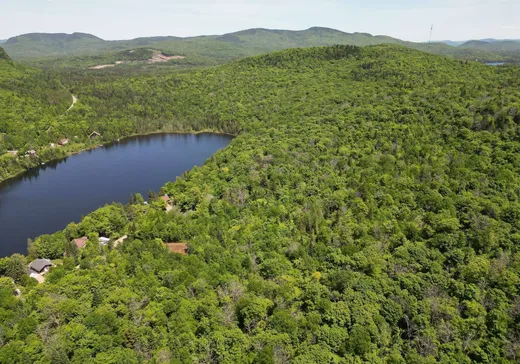 Land for Sale -  Ch. du Lac-Boeuf, St-Donat-De-Montcalm, J0T 2C0